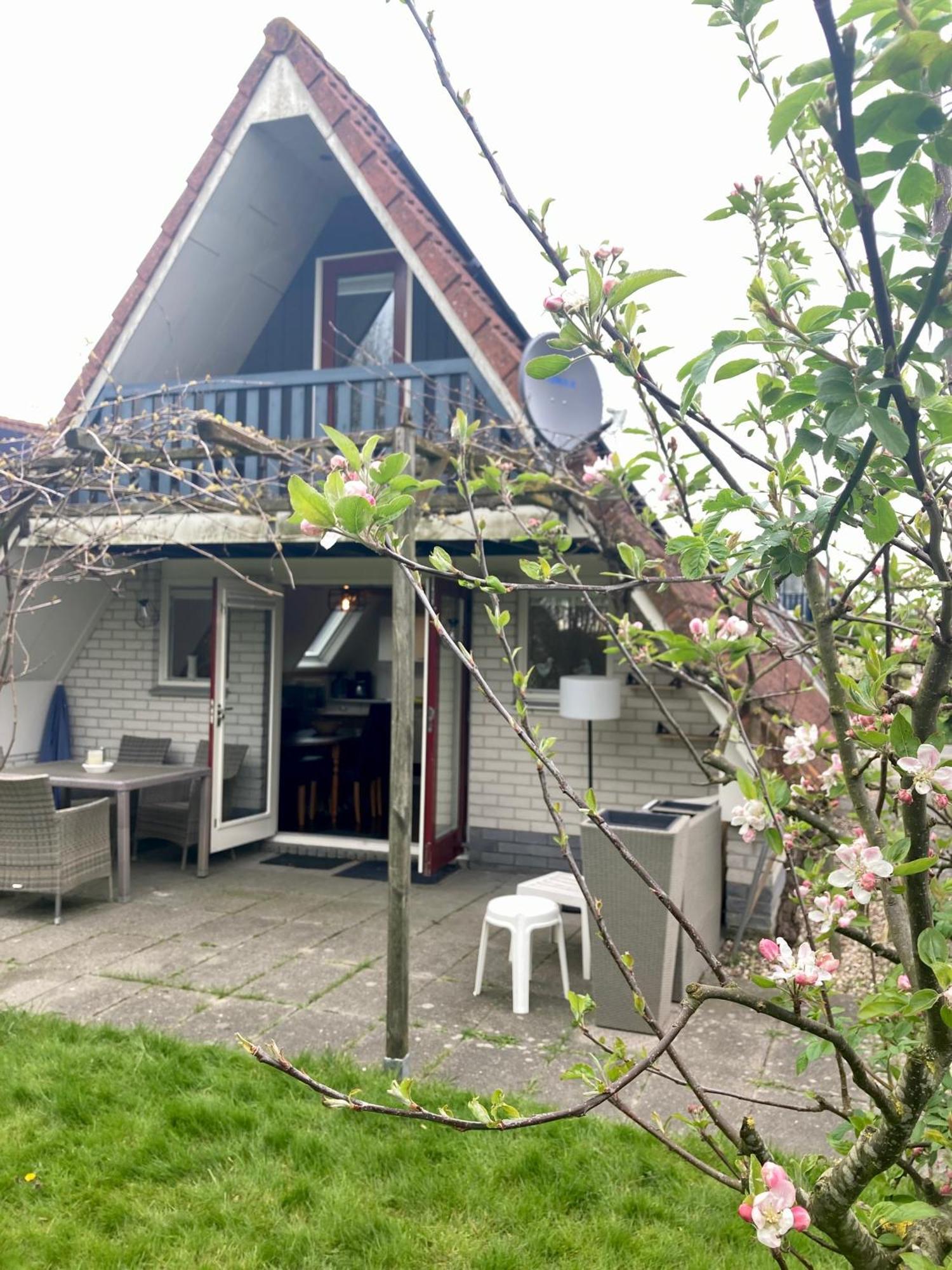 De Druif 6 Pers Holiday Home Close To The National Park Lauwersmeer Anjum Dış mekan fotoğraf